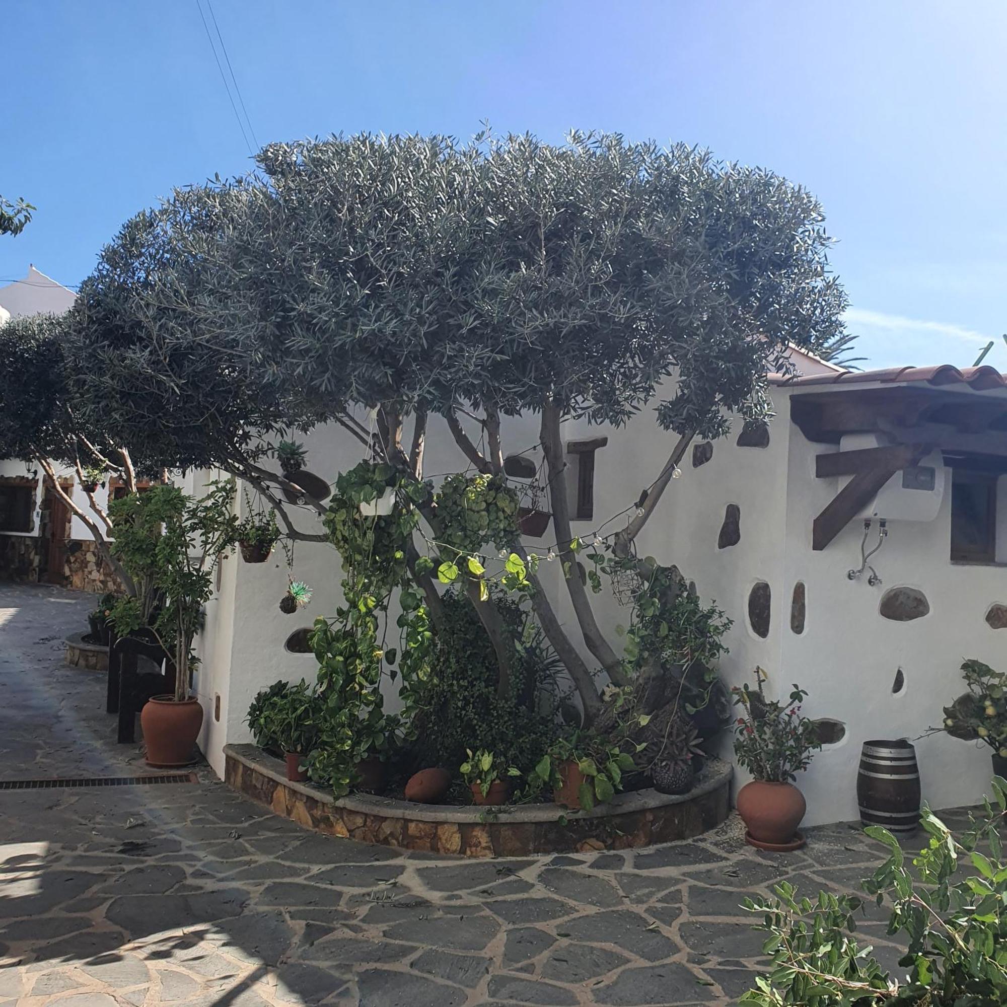 La Gallania De Papa Pepe Santa Lucia Dış mekan fotoğraf